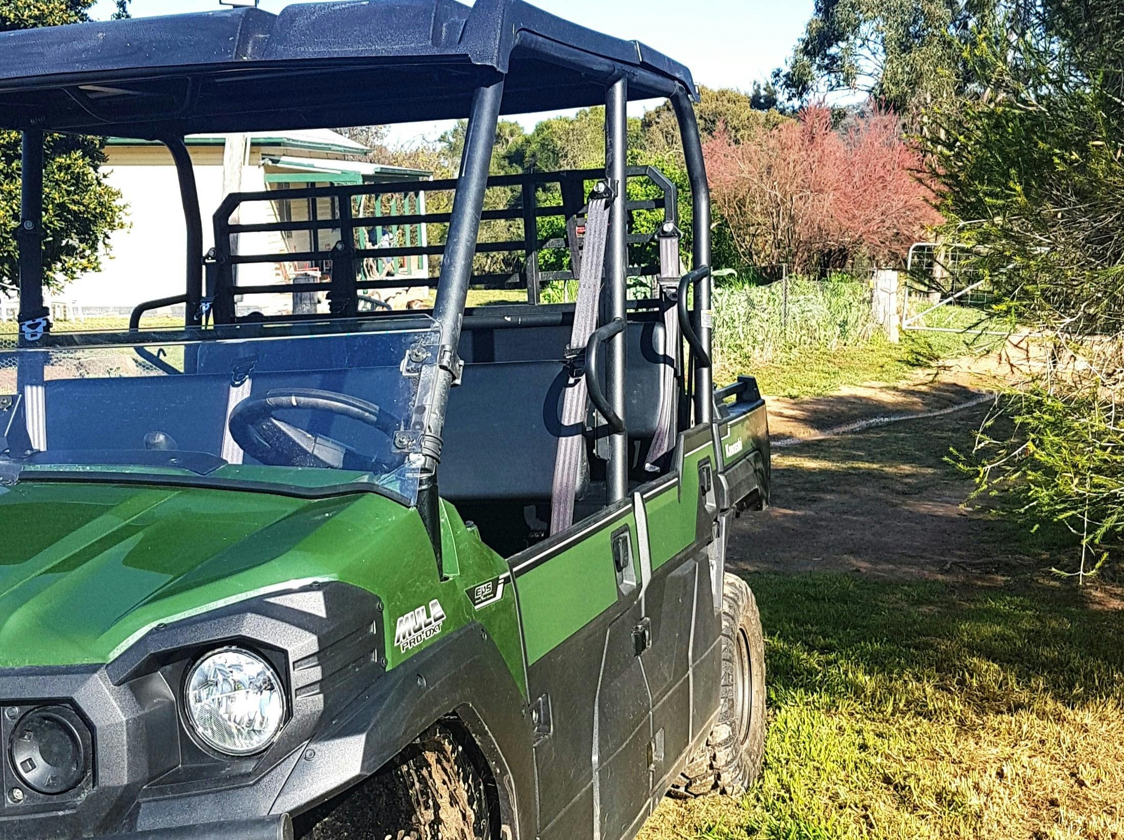 Piambong Creek Farm Tours