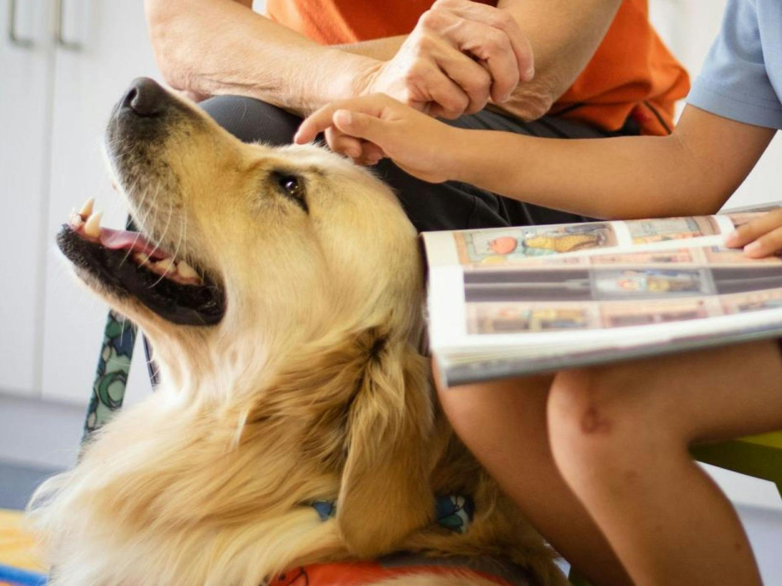 Story Dogs on Sunday