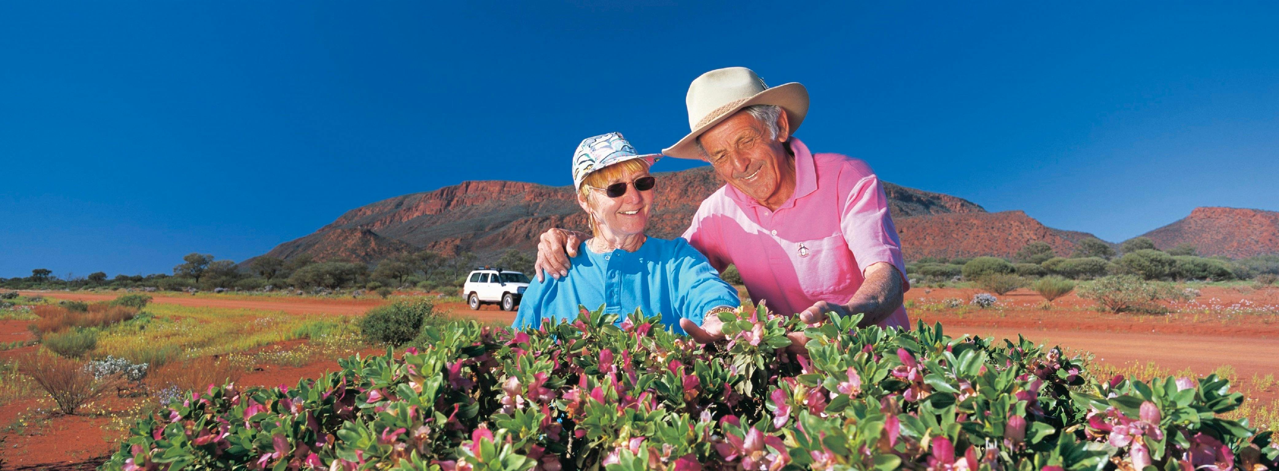 Northern Explorer Wildflower Trail, Gascoyne-Junction, Western Australia