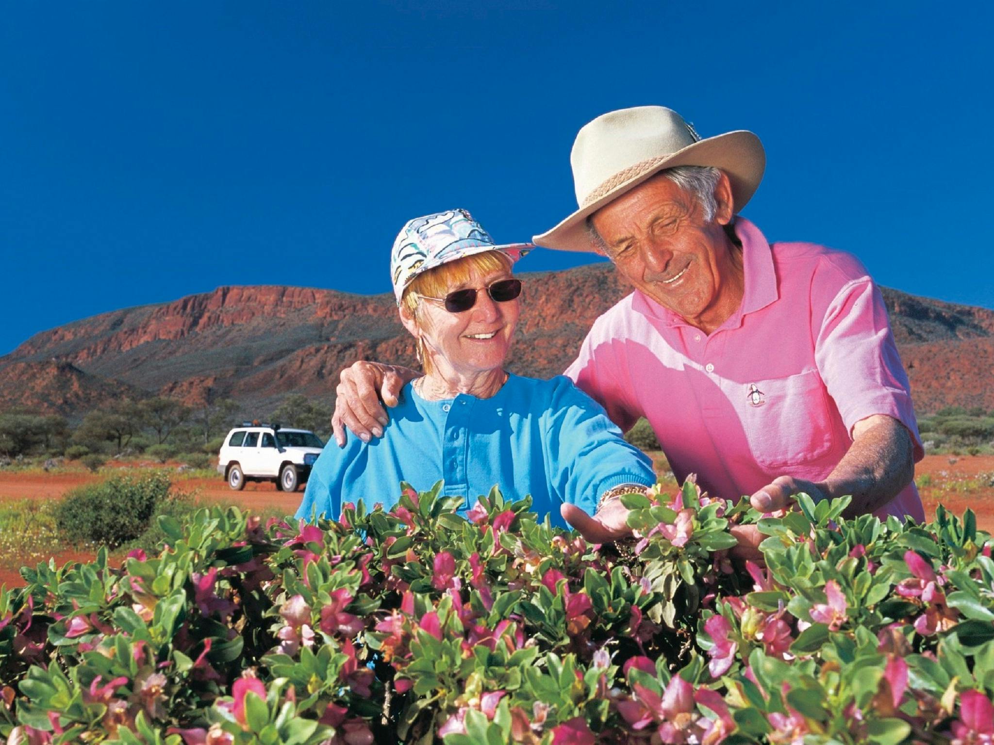 Northern Explorer Wildflower Trail, Gascoyne-Junction, Western Australia
