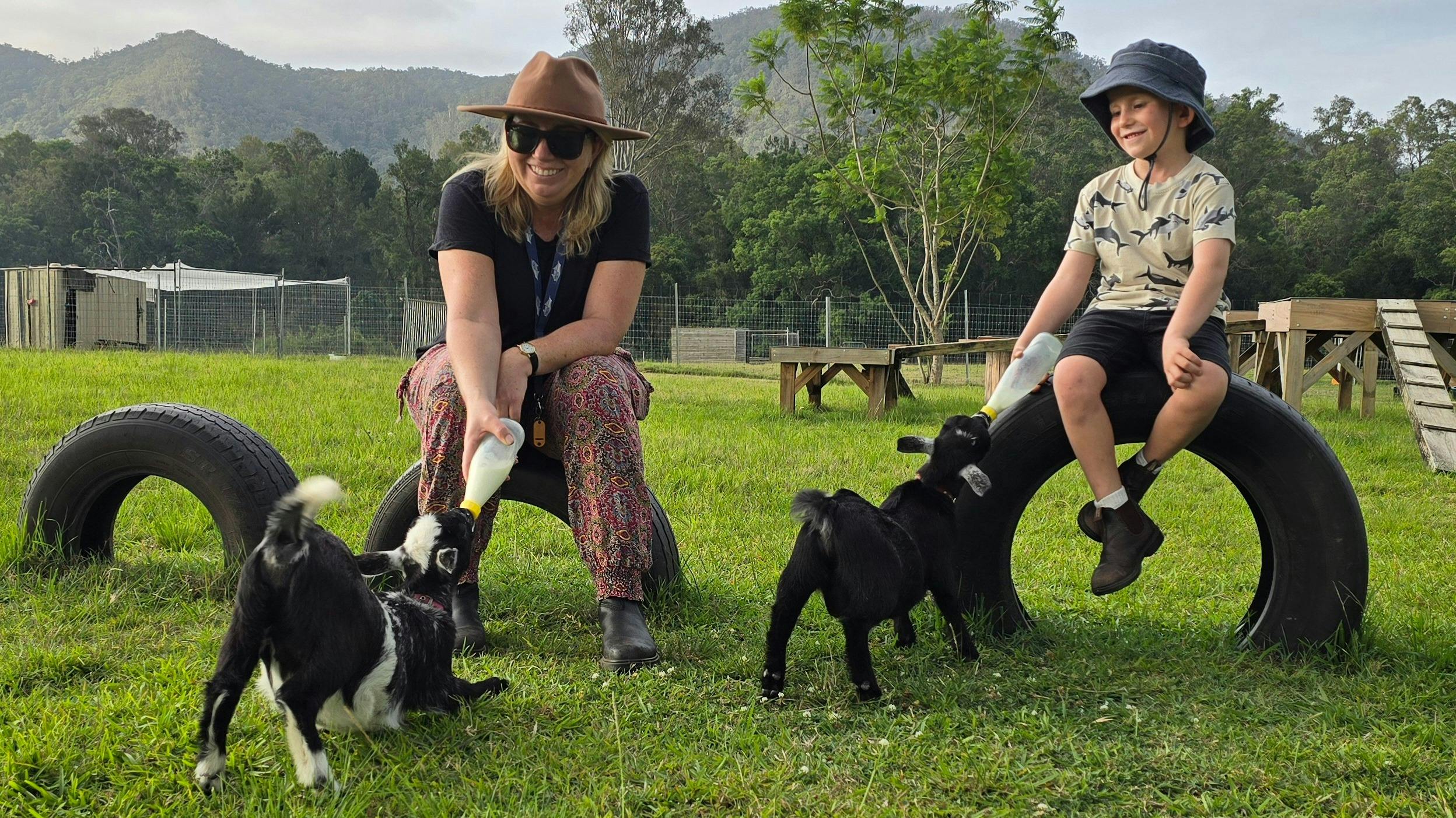 Enjoy bottle feeding baby goats at Fig Tree Farl B&B.