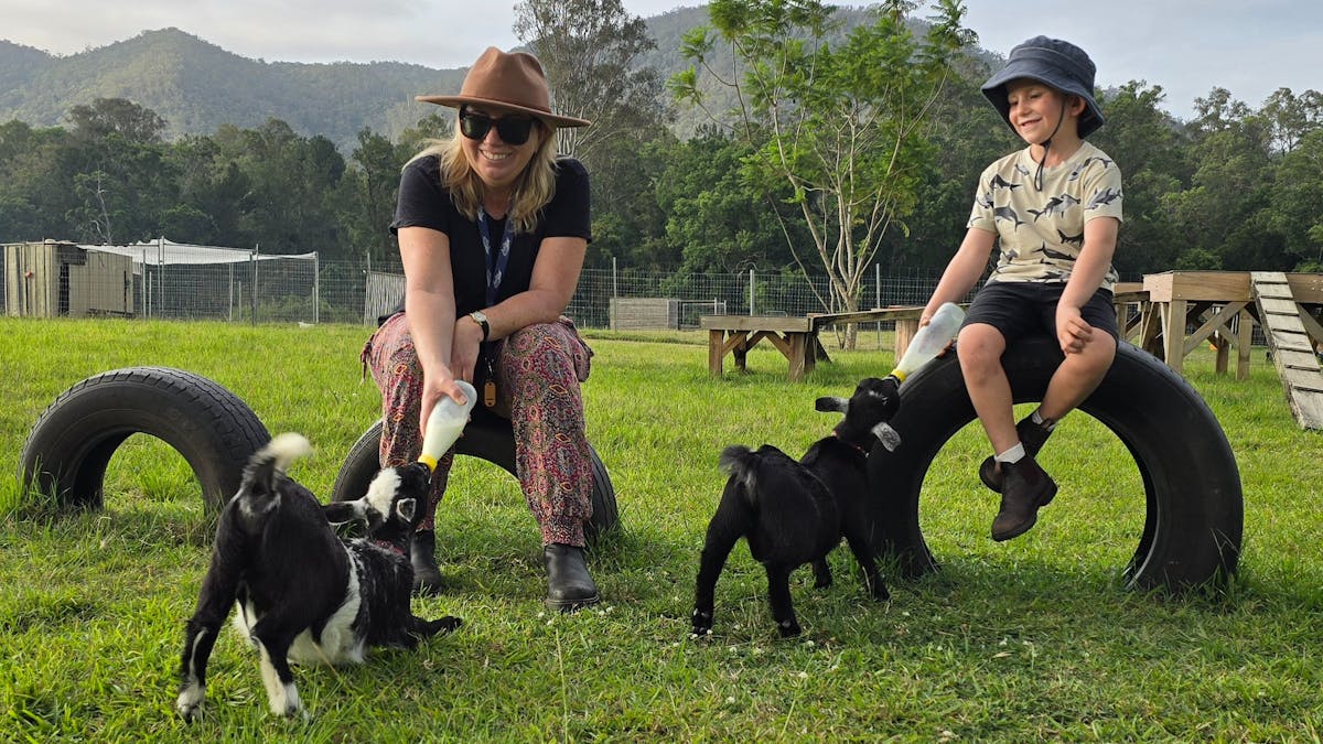 Bottle feeding baby goats is a popular activity at Fig Tree Farm B&B.