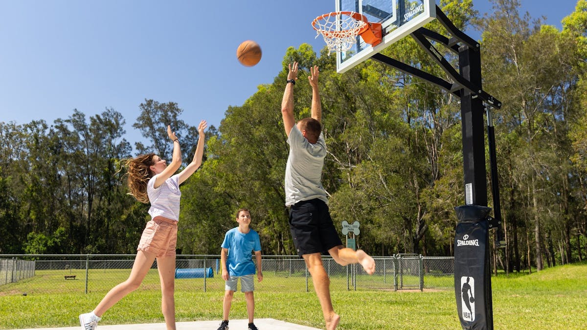 Basketball and Dog park