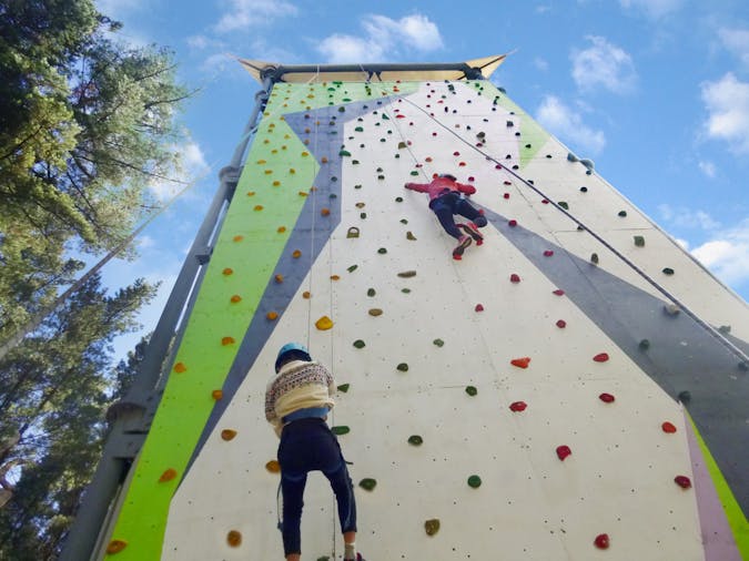 Go Wild Mount Lofty Adventure Hub