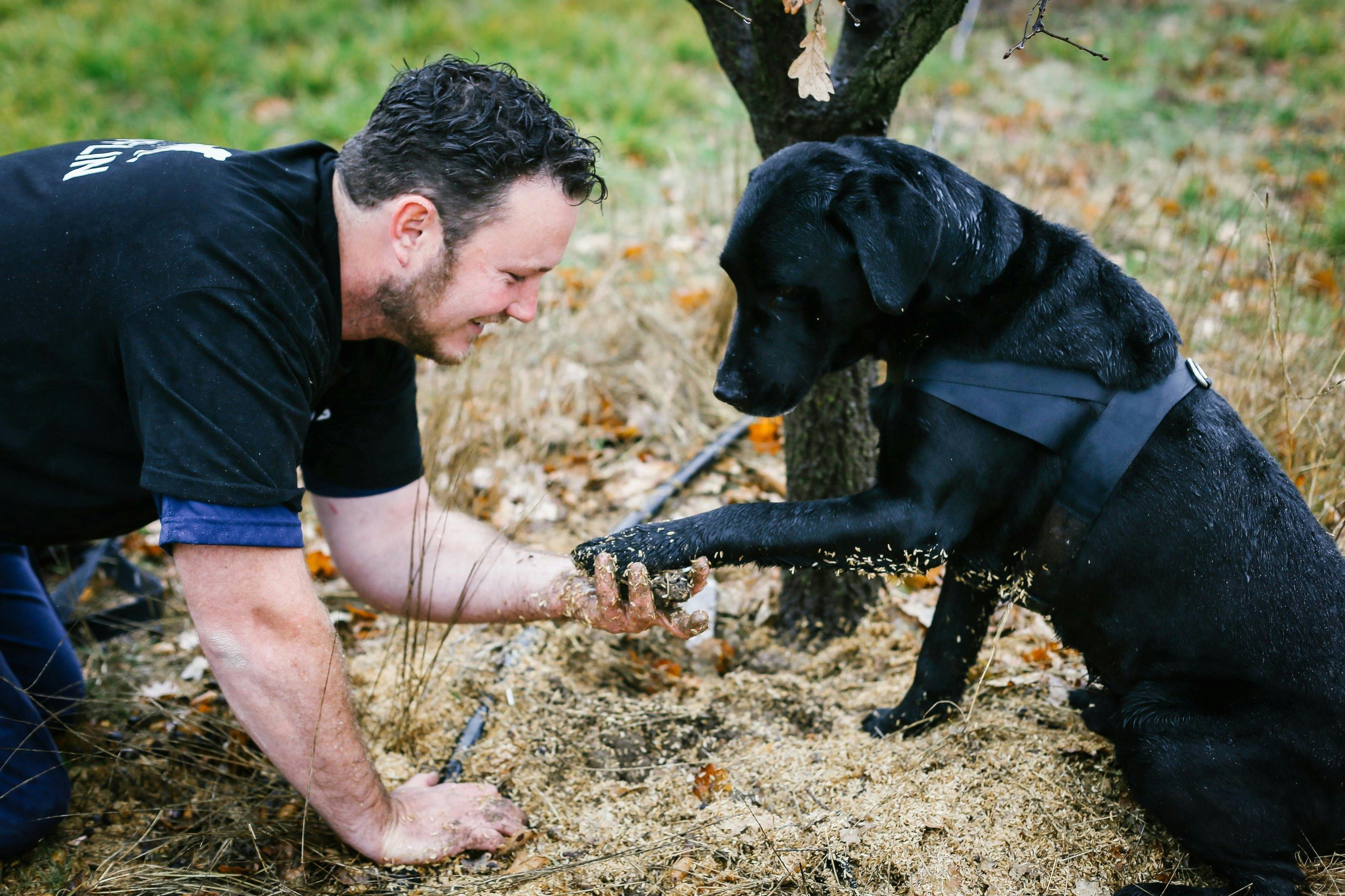 Farmer with his dog and truffle