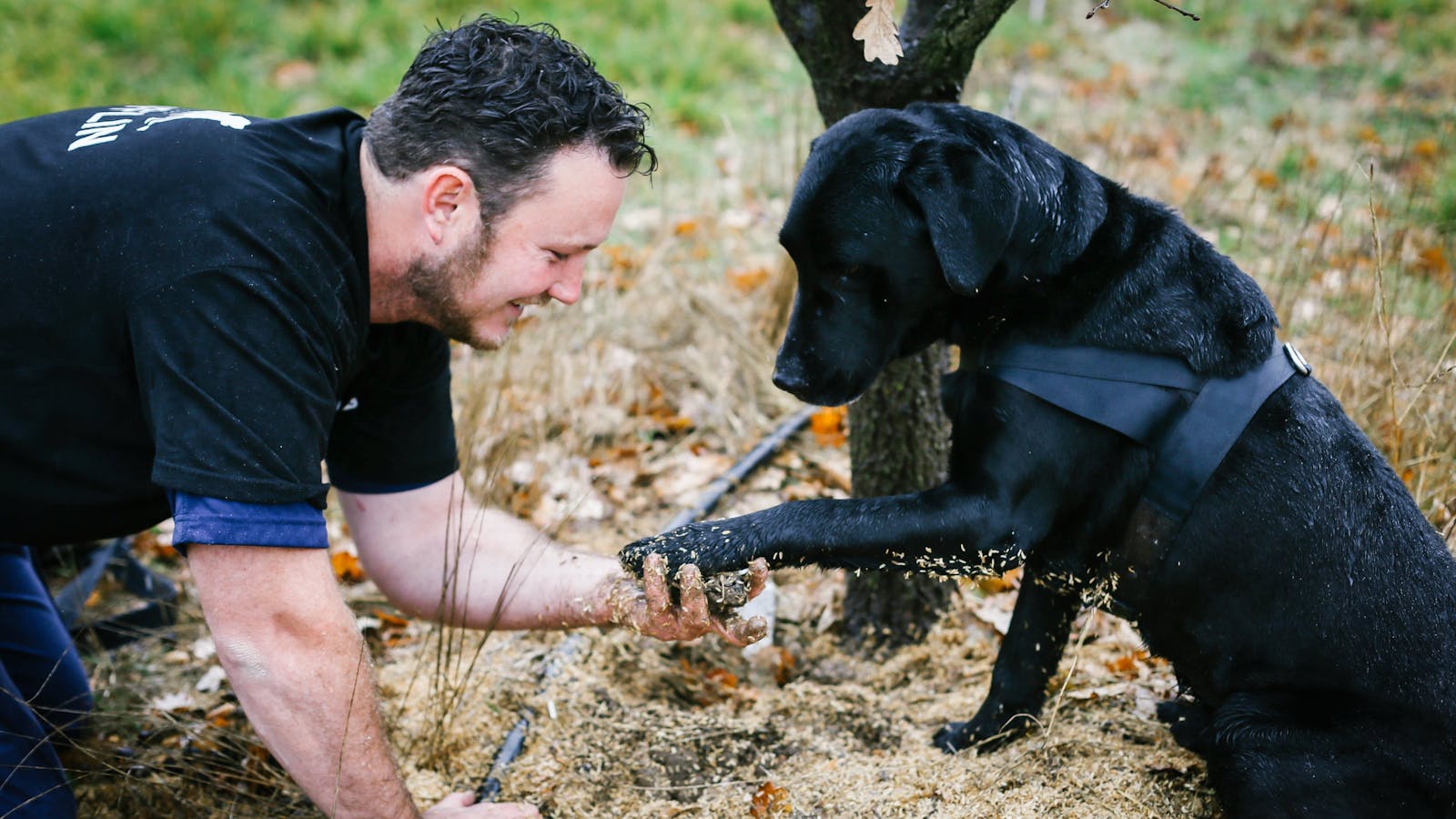 The Truffle Farm Canberra