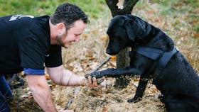 Farmer with his dog and truffle