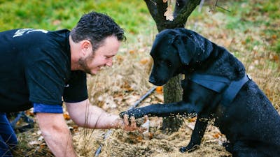 Farmer with his dog and truffle