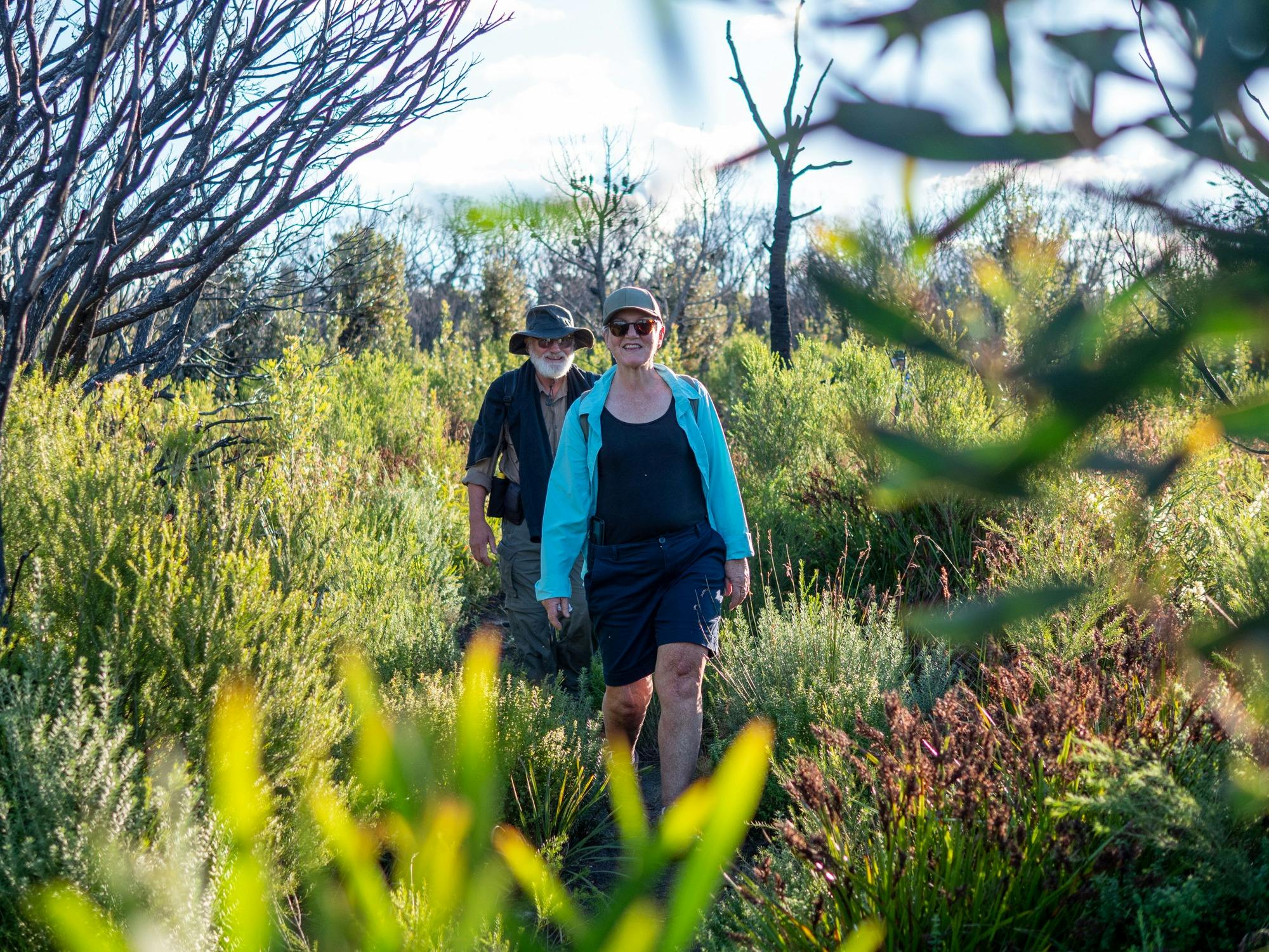 Guests walking surrounded by forest and green shrubs