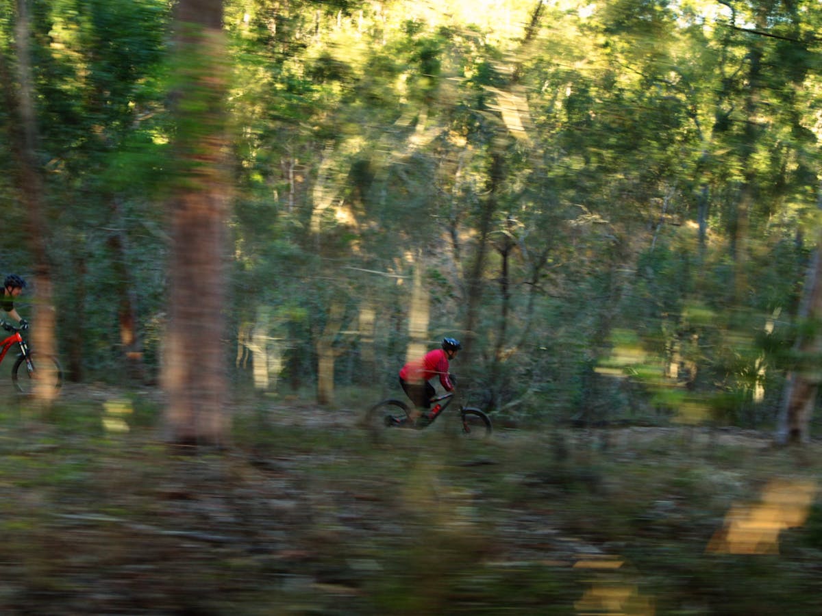 Hillview Drive Reserve