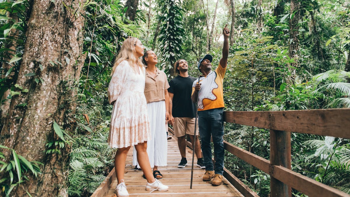 Aboriginal guide's connection to country in the Daintree rainforest, north Queensland
