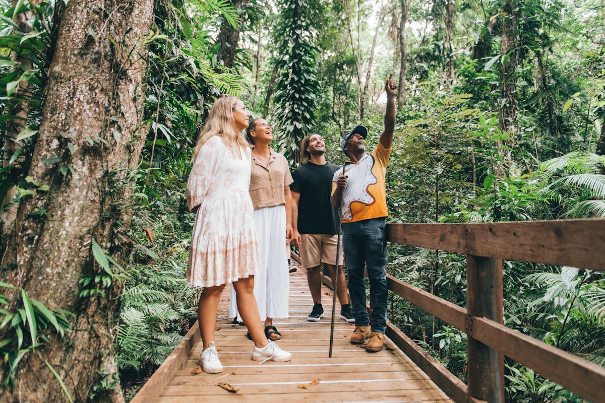 Aboriginal guide's connection to country in the rainforest