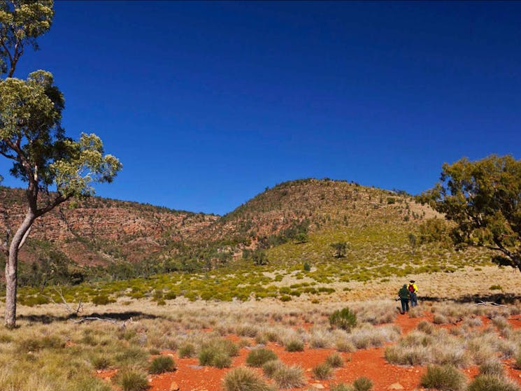 Gundabooka National Park