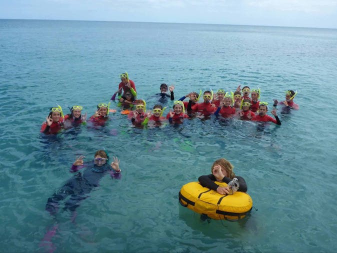 Sea Surf and Wildlife