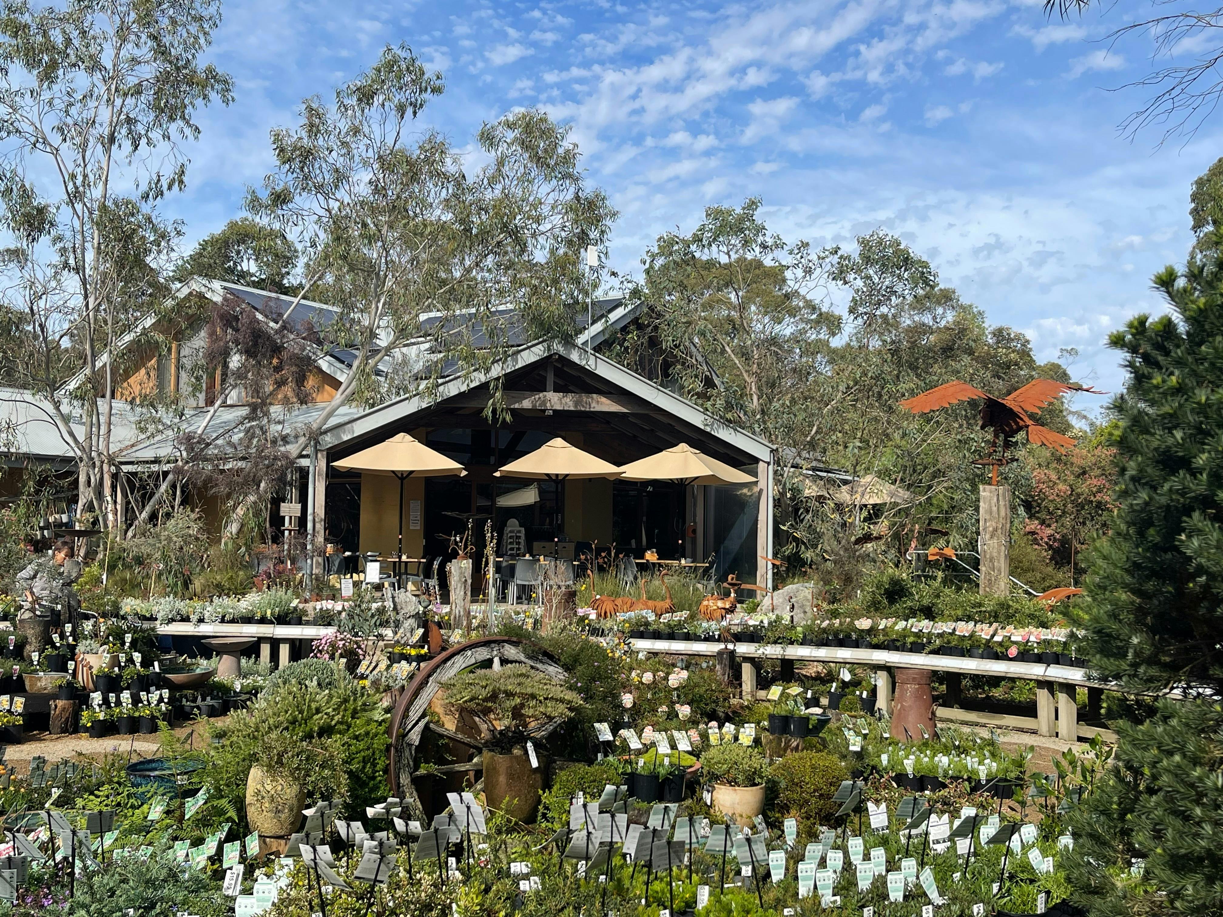 Kuranga Bush Buddy Workshops
