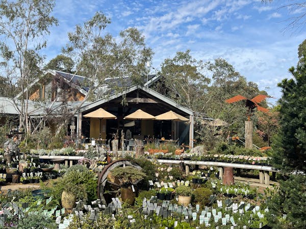 Kuranga Bush Buddy Workshops