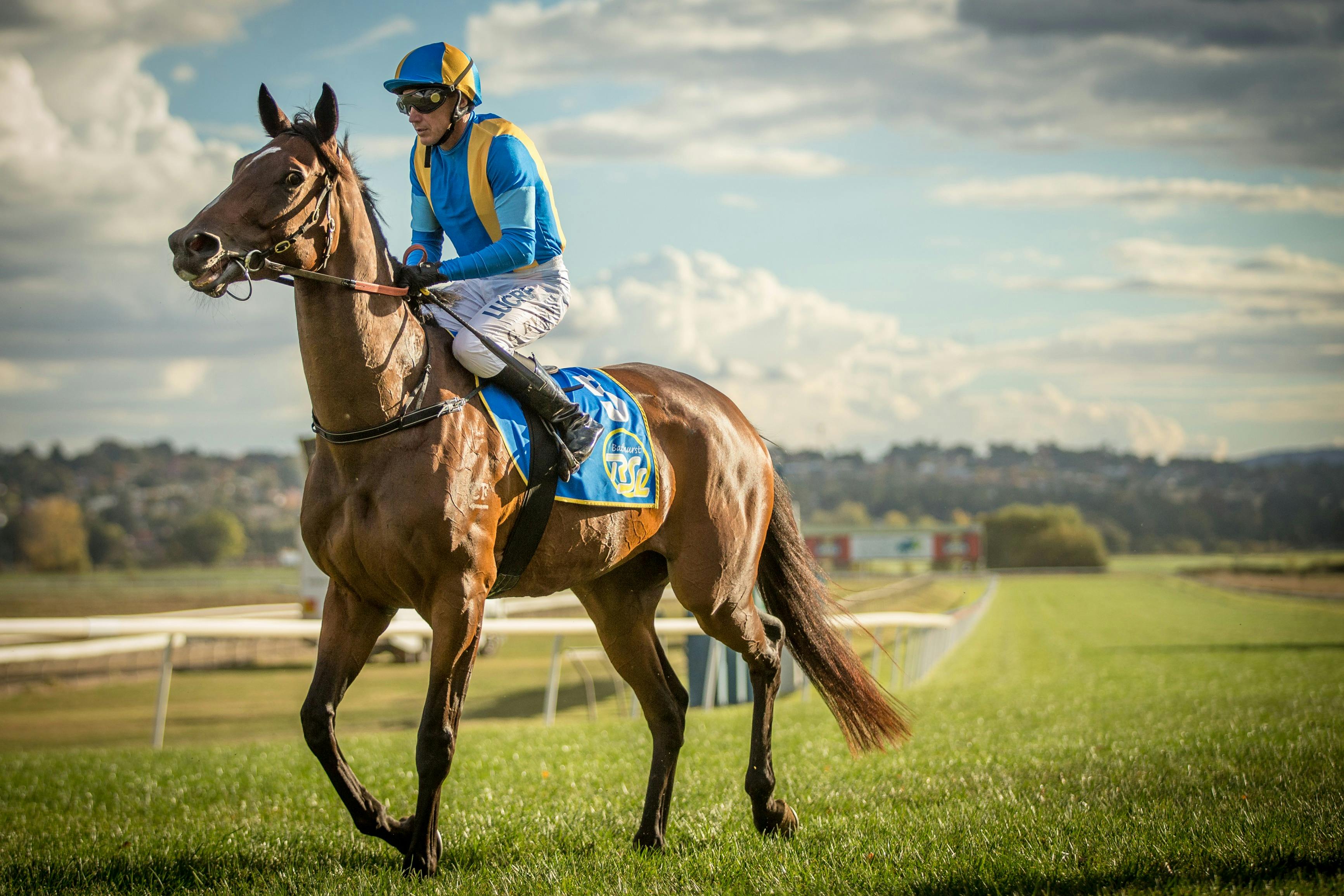 Anzac Day Soldiers Saddle Race Meeting