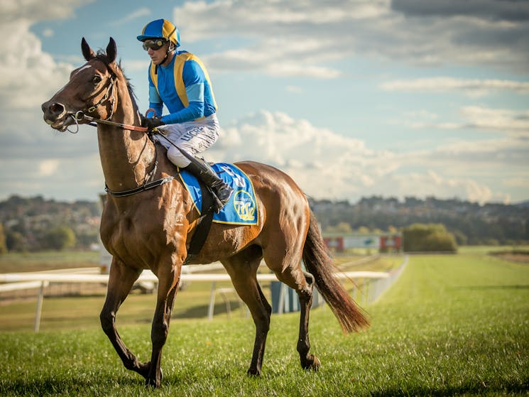 Bathurst Thoroughbred Racing