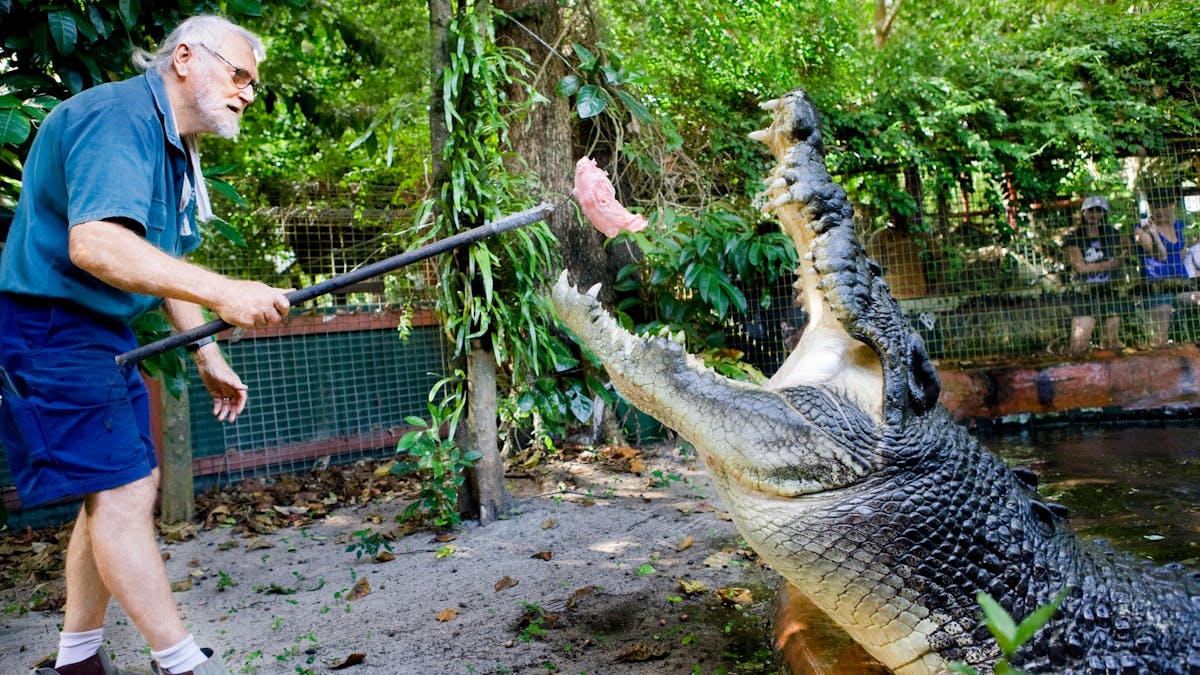 Marineland Melanesia Crocodile Habitat