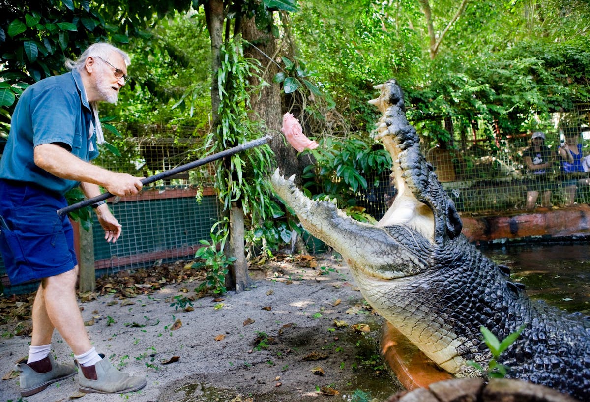 Marineland Melanesia Crocodile Habitat
