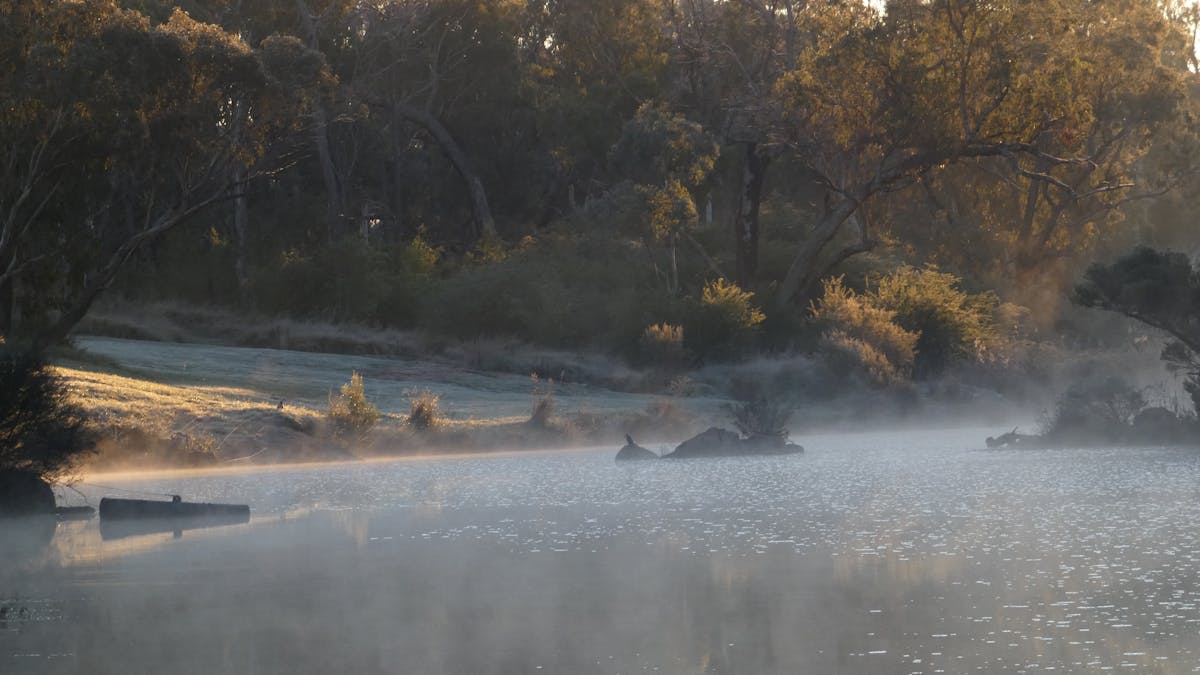 The Severn River in winter, sun is shining on the riverbank and mist is rising from the water.