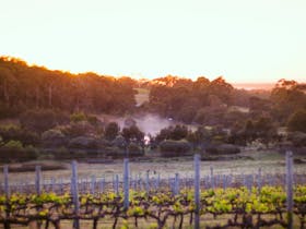 Howling Wolves Wines