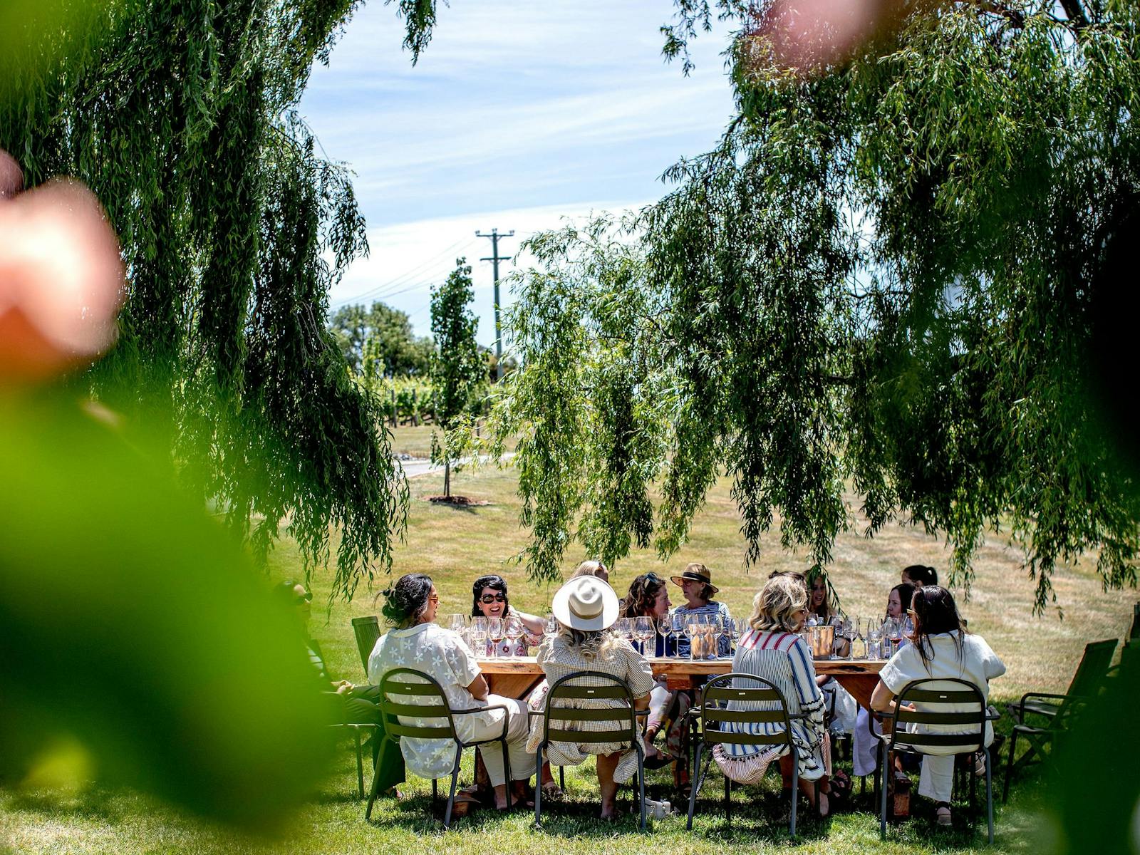 Under the Willows