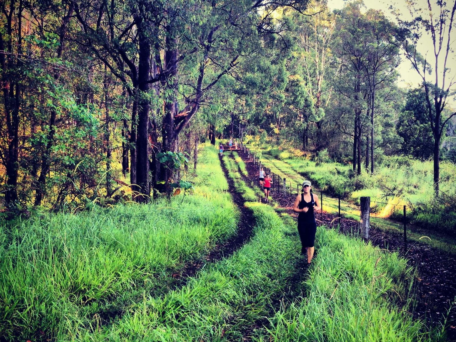 Explore the green behind the Gold Coast