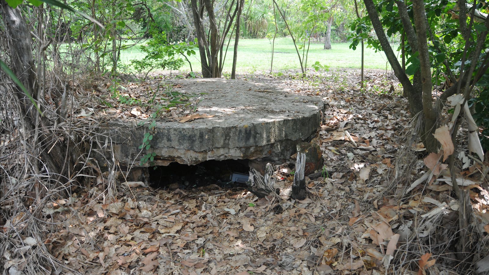 WWII Observation Posts Dripstone Cliffs