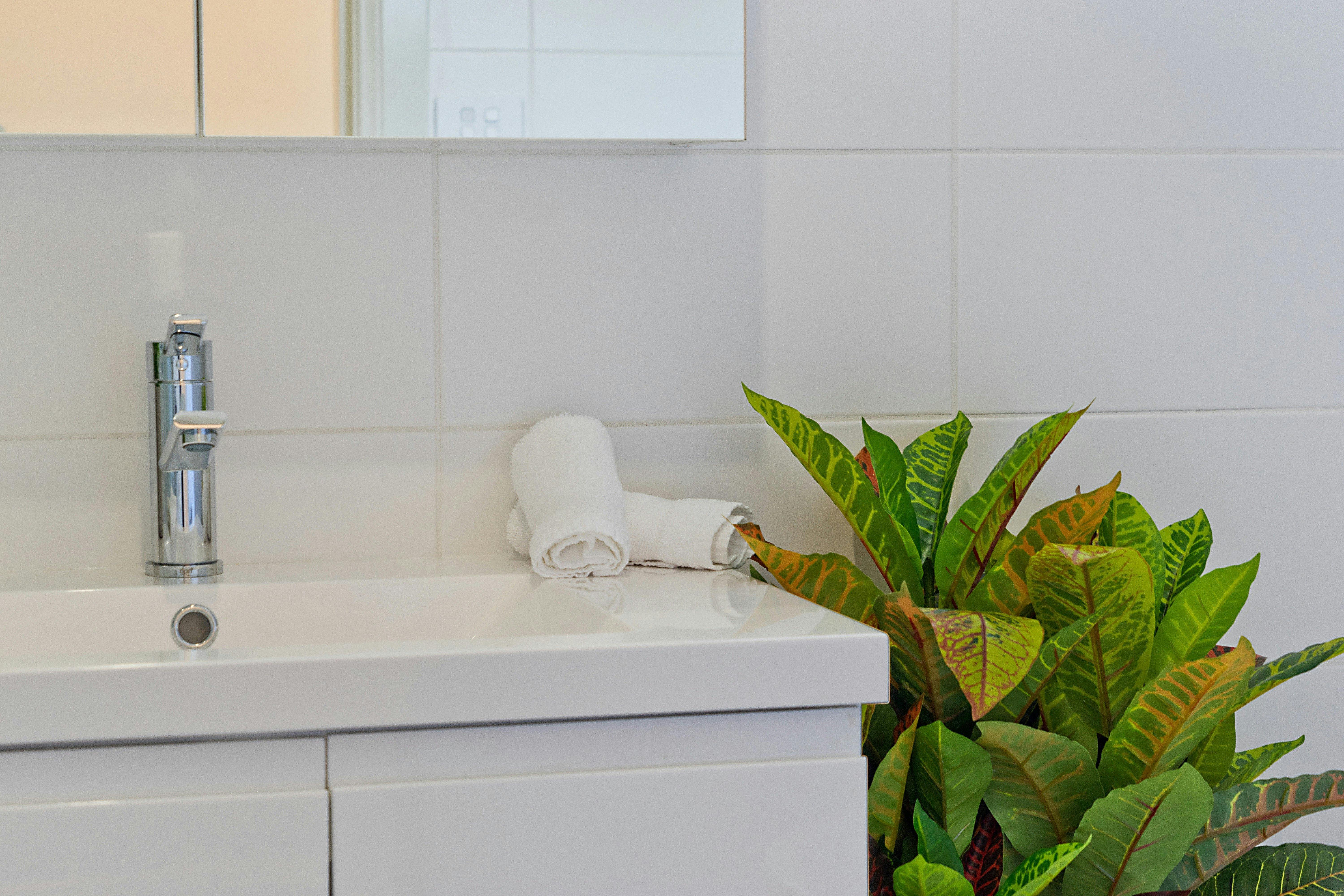 アコモデーションハンター-アダムスストリートメイトランド