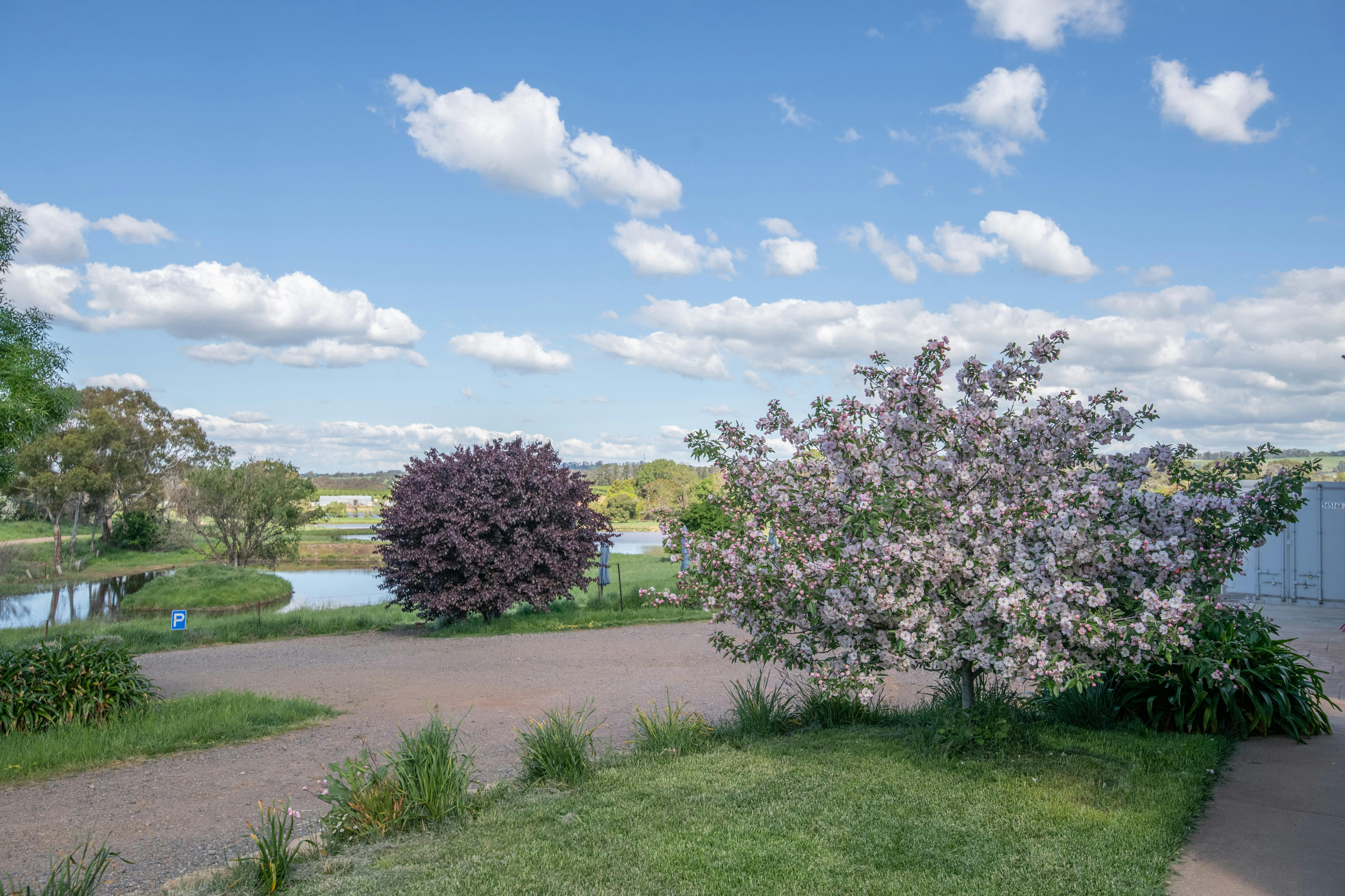スモール エーカーズ コテージ