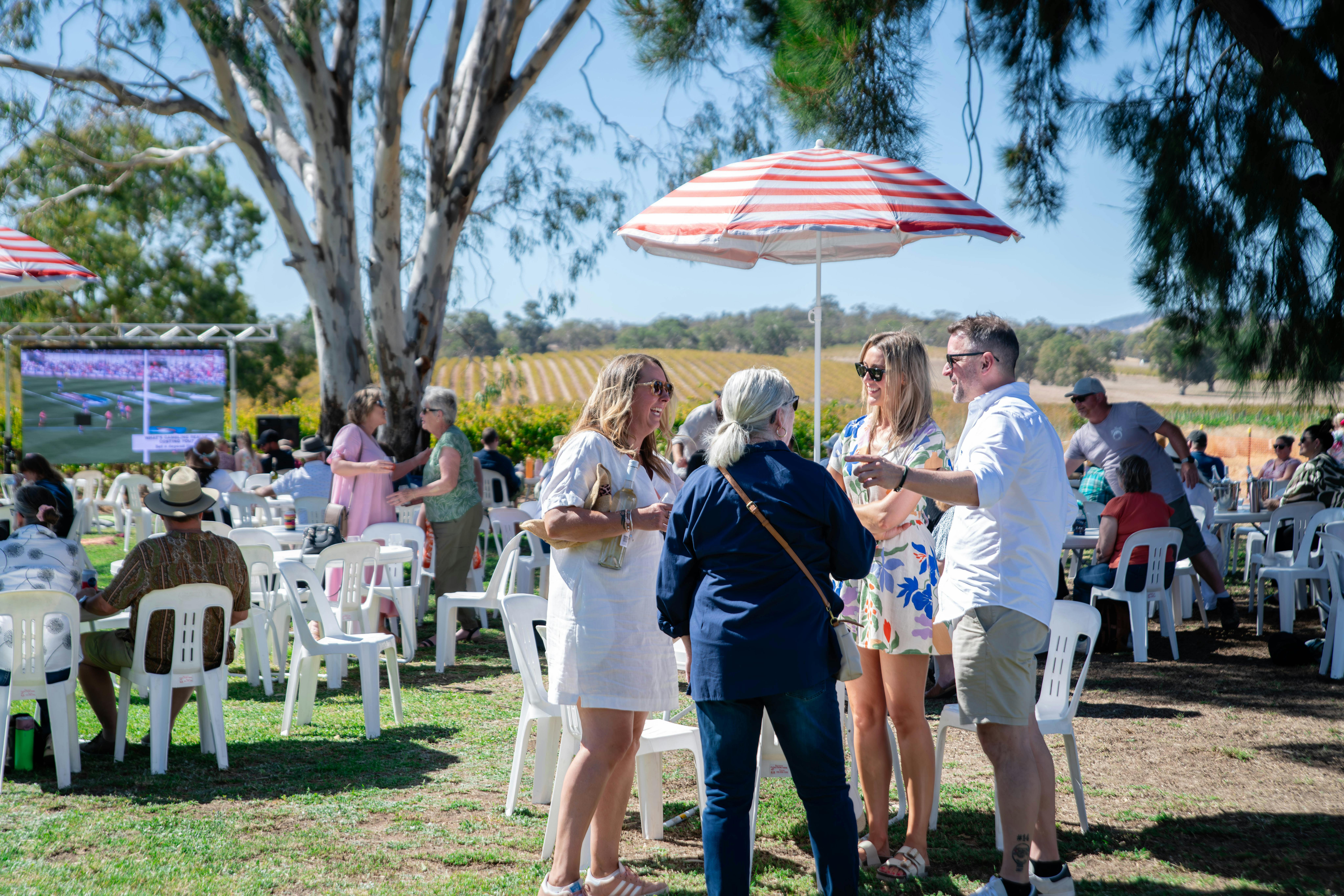Saturday at Sunset - Kies Family Wines