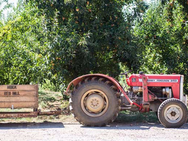 Wine Food Farmgate, Private Mornington Peninsula Tour