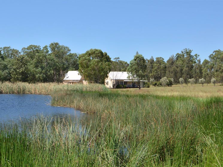 Madigan Wine Country Cottages Rothbury Visitnsw Com