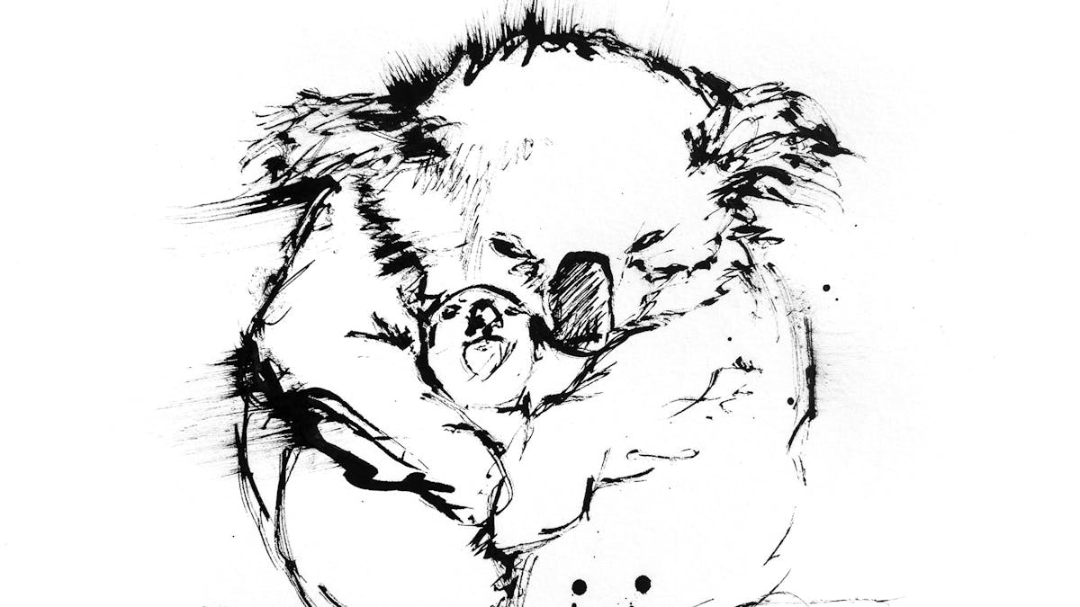 Black and white illustration of a mother koala sniggling with a baby koala