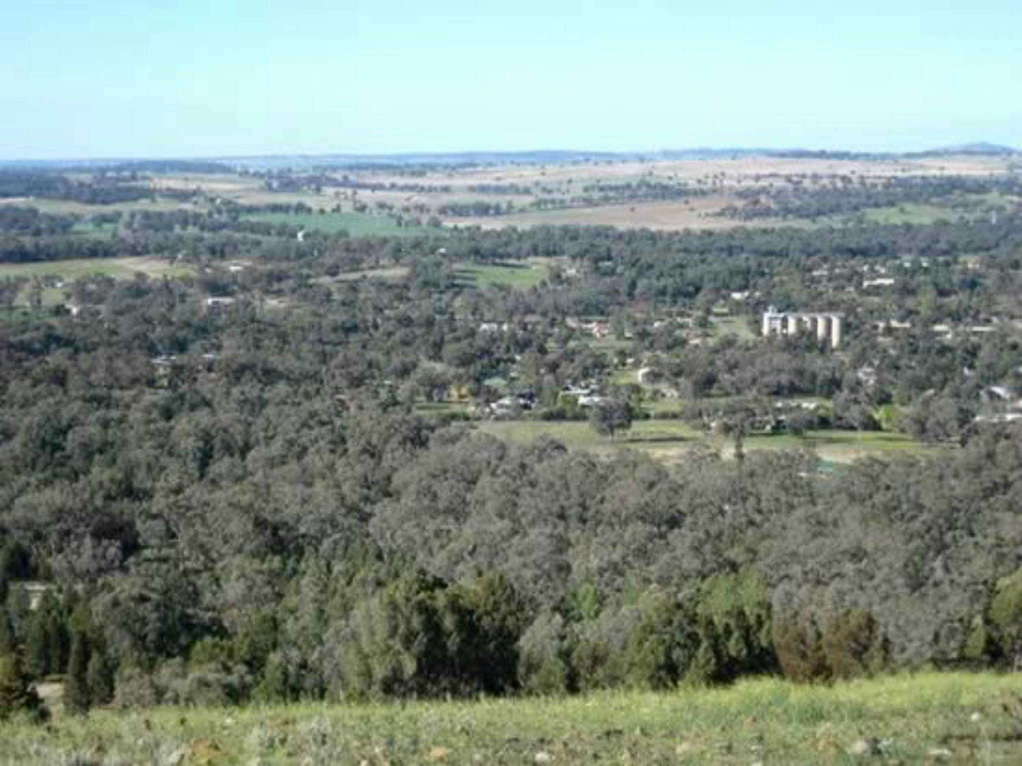 Bald Hill Reserve