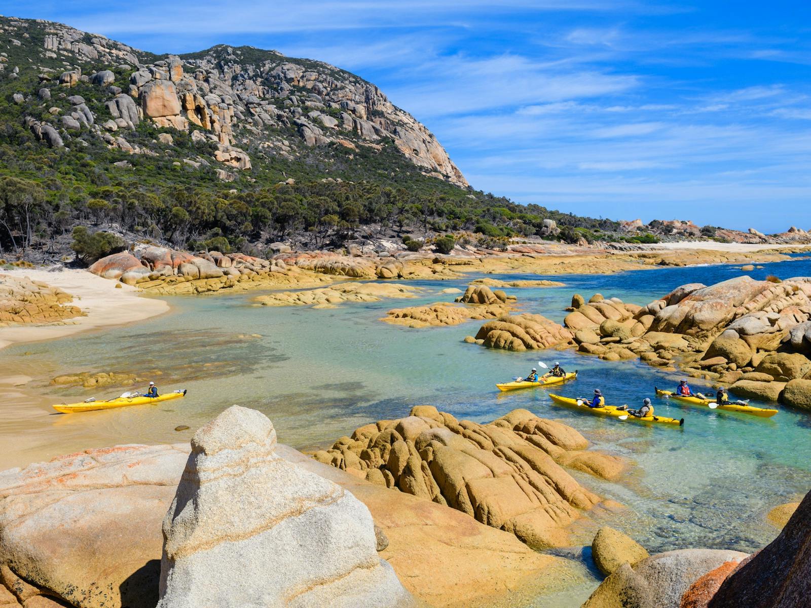 Kayakers near beach on Flinders Islane