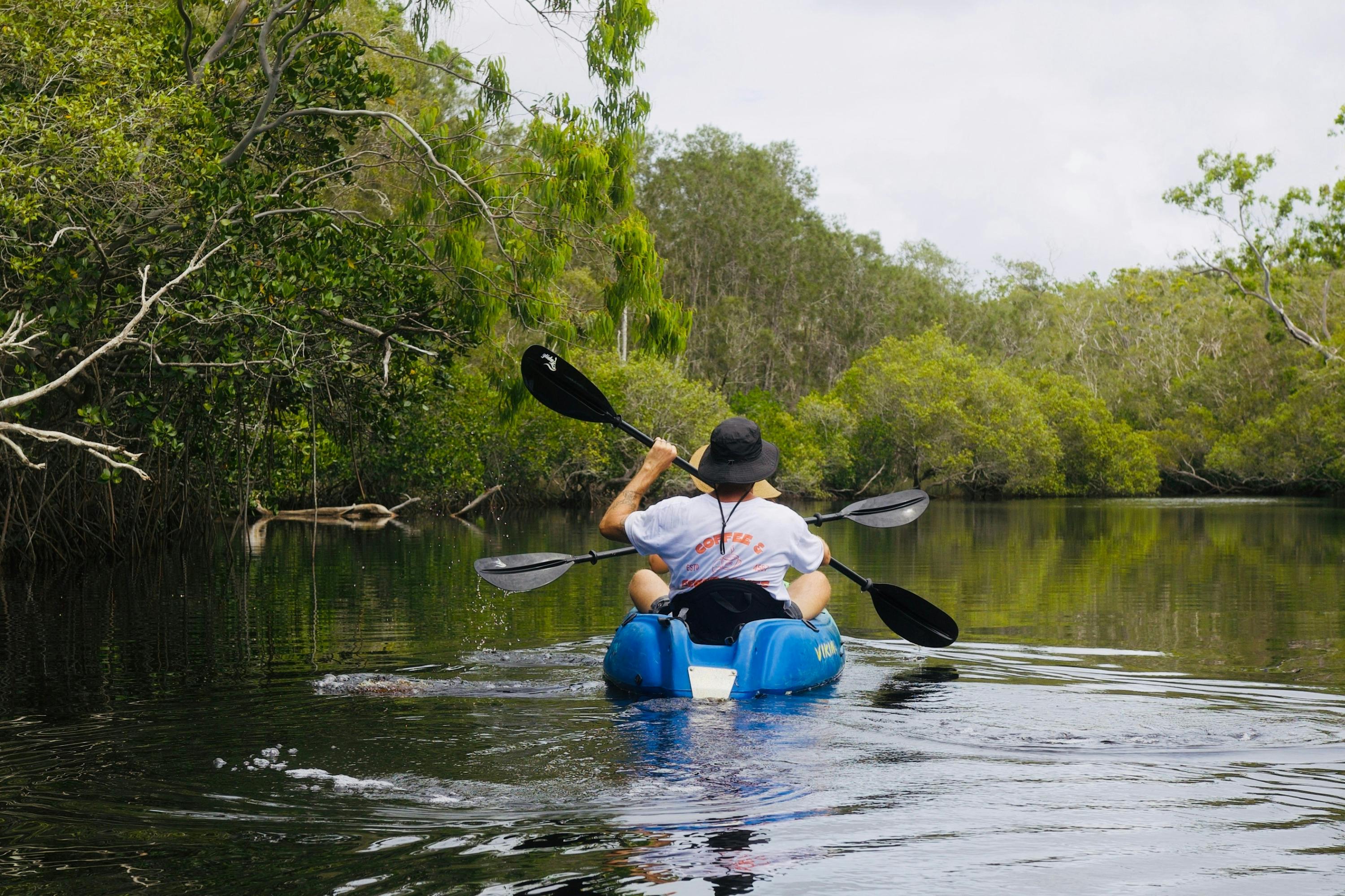 Kayak Tour southern end Noosa EvergladesLake Weyba