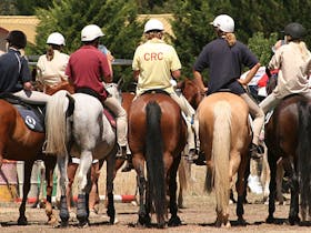 Michelago Pony Club Gymkhana and Sporting Spectacular Cover Image