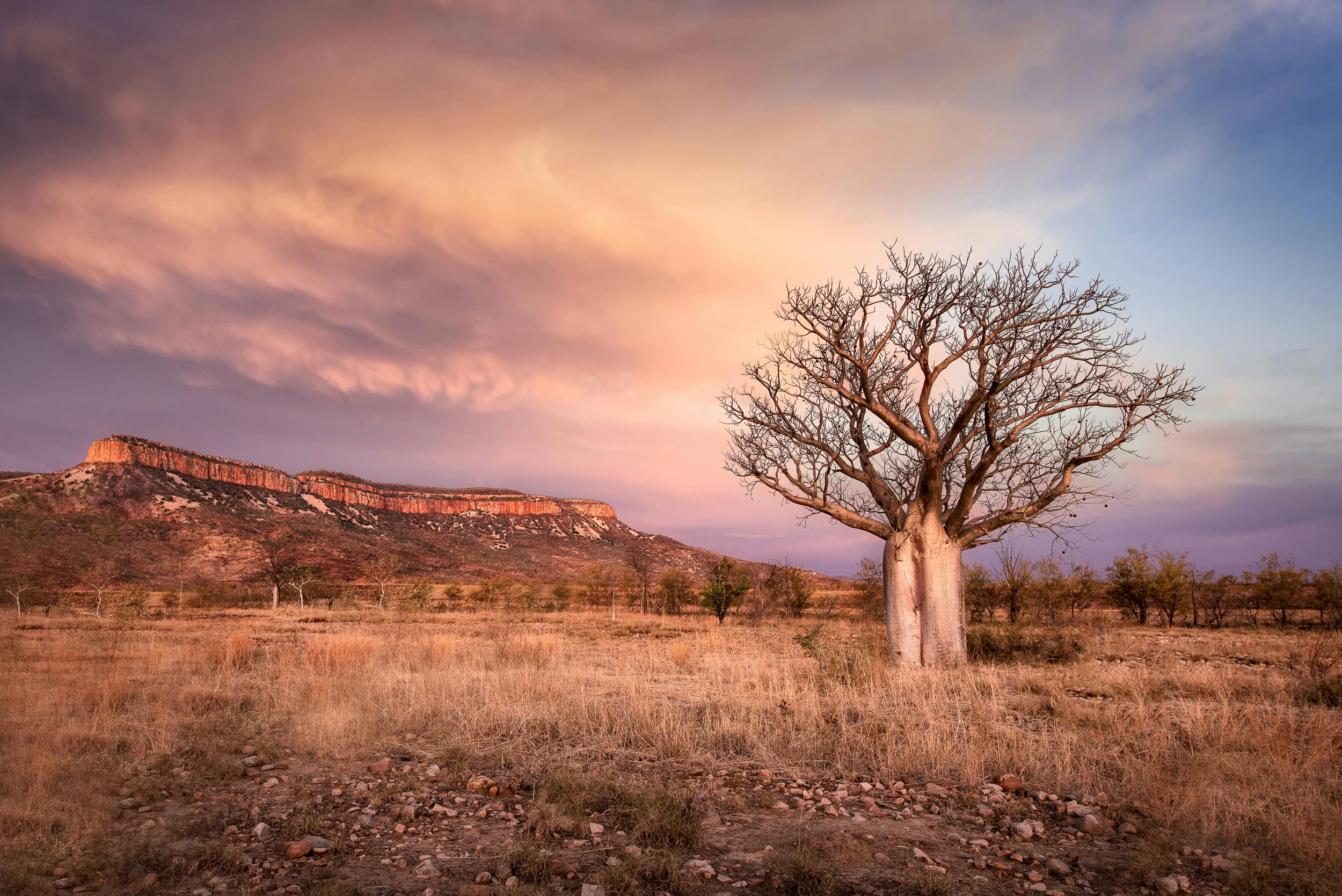 Western Australia