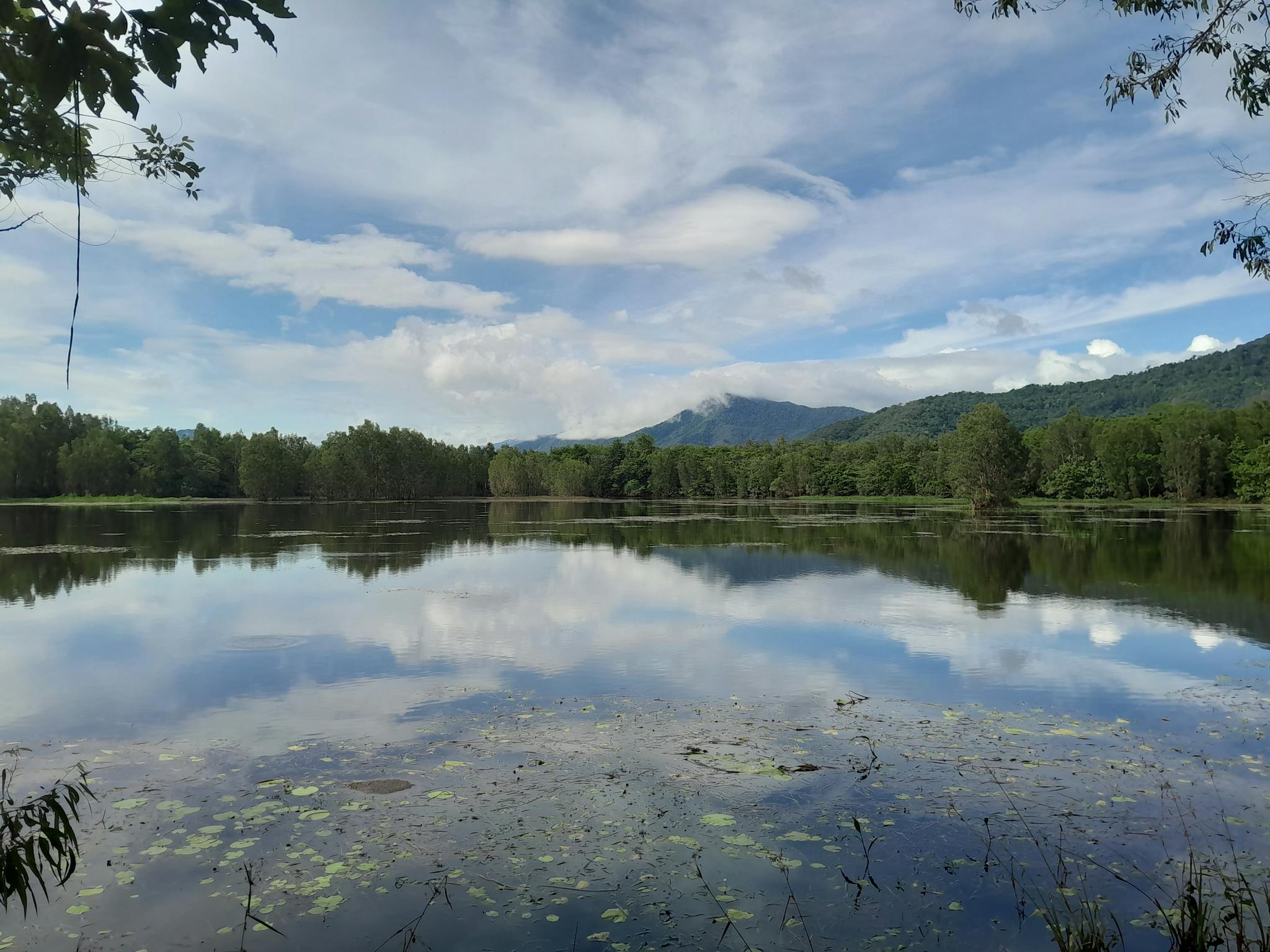 Lake with rainforest mountain backdrop, reflecting white clouds and blue sky on it's mirror surface Lake with rainforest mountain backdrop, reflecting white clouds and blue sky on it's mirror surface