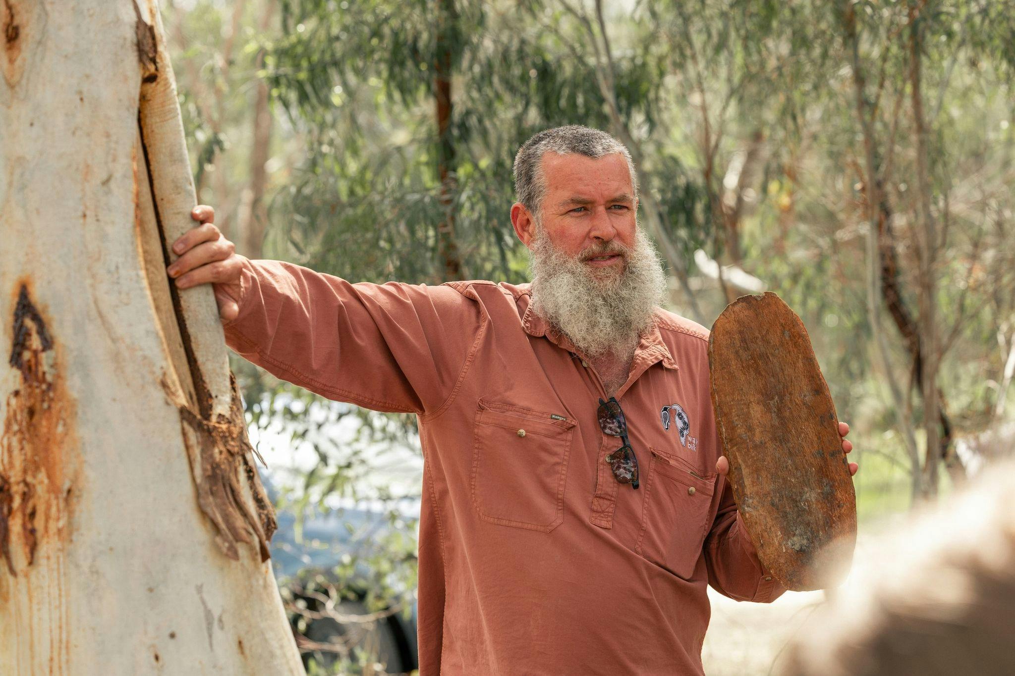 Guide holding scarred tree