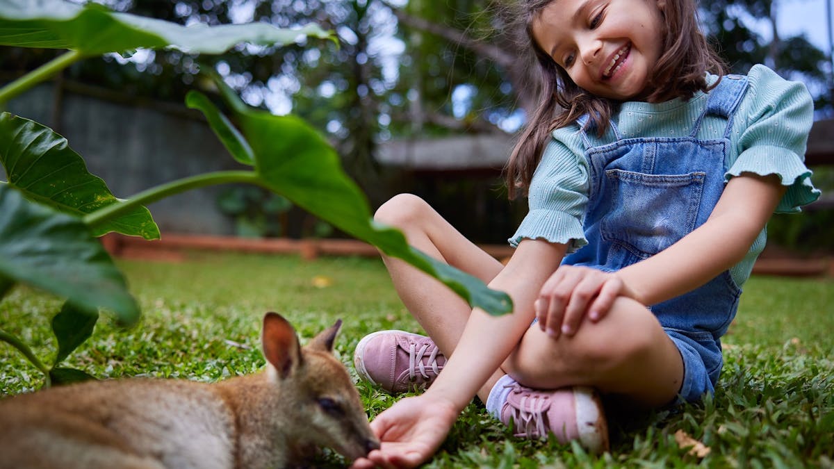 A young girl sitting on grass, hand feeding a wallaby at Rainforestation Nature Park, Kuranda