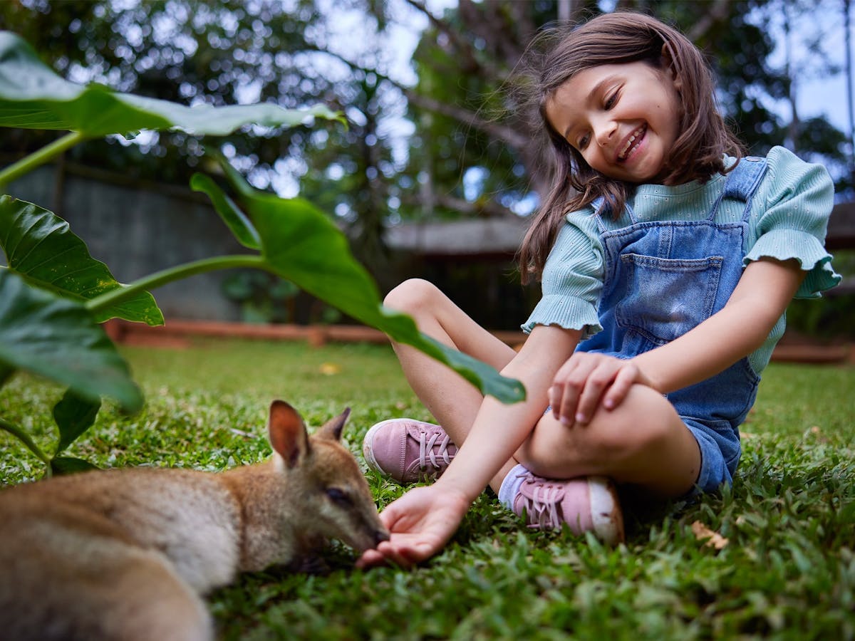 Child sta on the ground hand-feeding wallabies and kangaroos at Rainforestation