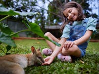 Child sta on the ground hand-feeding wallabies and kangaroos at Rainforestation