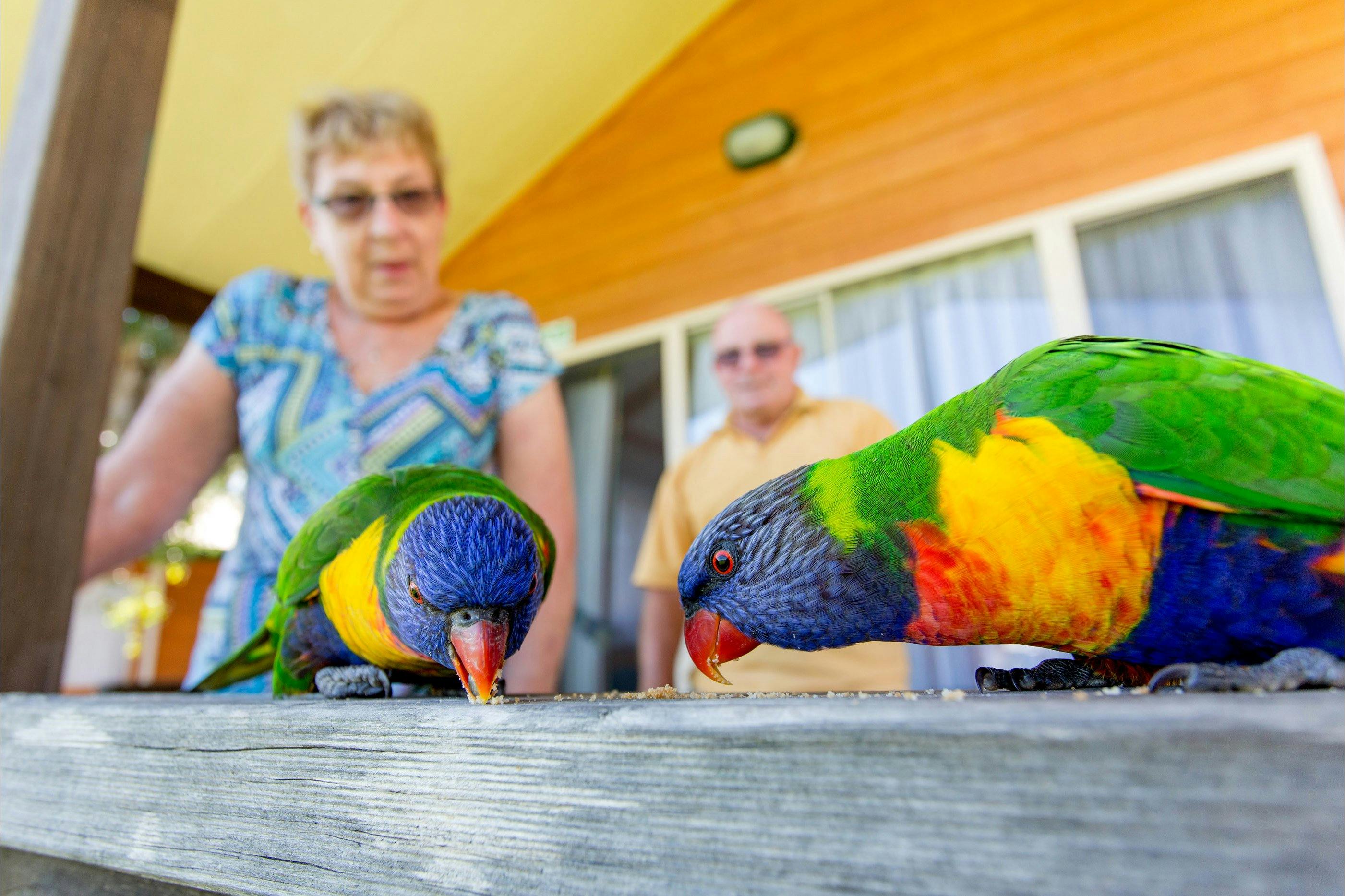 East Riverside Holiday Park의 BIG4 Batemans 베이