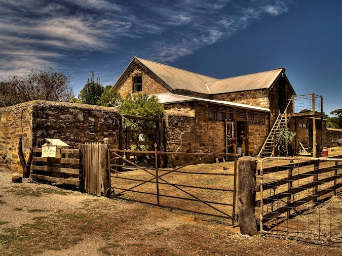Iconic Barossa Valley Experience