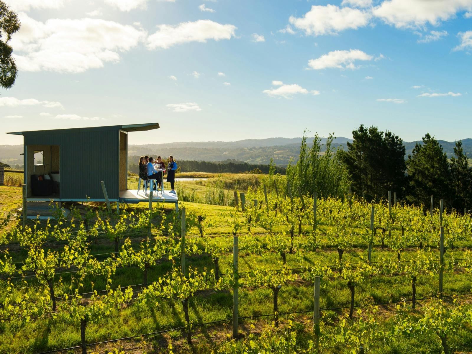 The Most beautiful wineries in the world