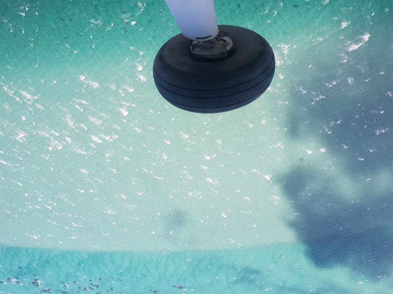 The Flinders Island Wild Weekend