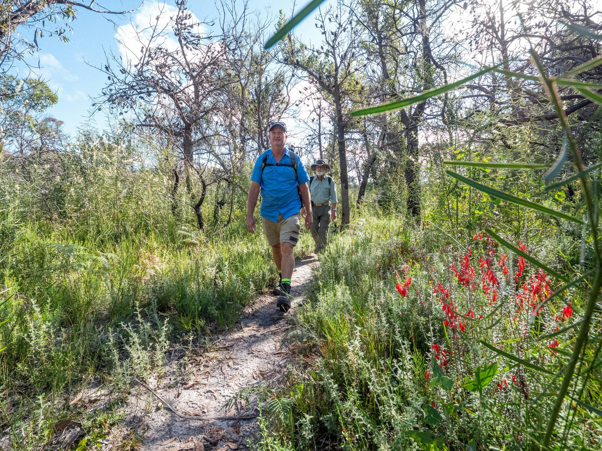 Guests walking along the track with wildflowers